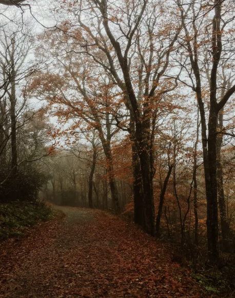 Screenshot 2025-09-26 at 10.11.32 PM